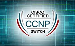 Formation Cisco CCNP SWITCH Réussir l'examen 300-115