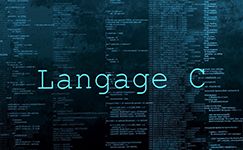 Formation Le langage C Acquérir les fondamentaux