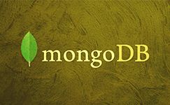 Formation MongoDB Devenir Expert du NoSQL