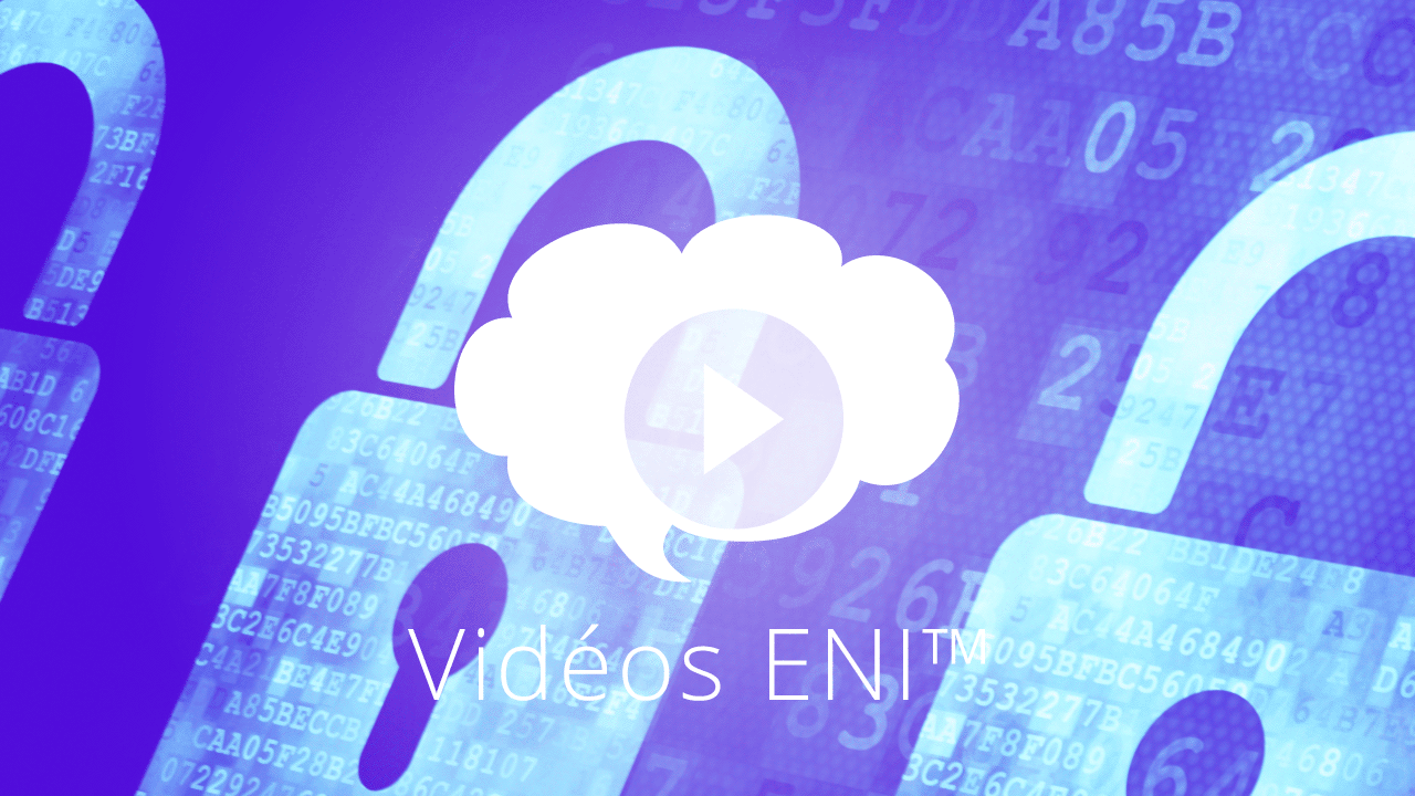 Ethical Hacking Les fondamentaux de la sécurité informatique