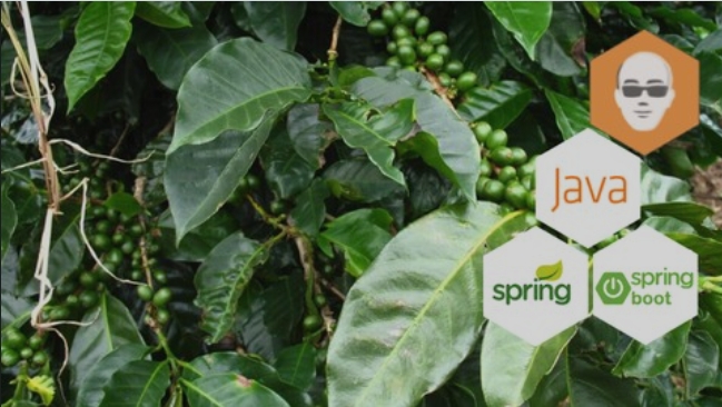 Bien débuter avec Spring et Spring Boot pour Java