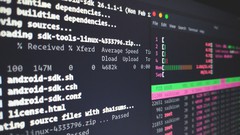 Terminal LINUX Maitrisez la Ligne de Commande aujourdhui